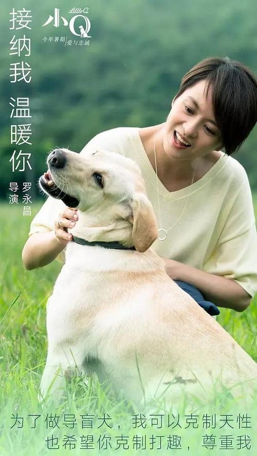 办个假离婚证多少钱
